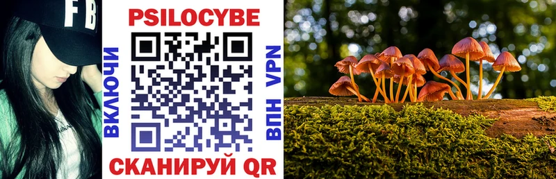 Галлюциногенные грибы Psilocybe  Александров 